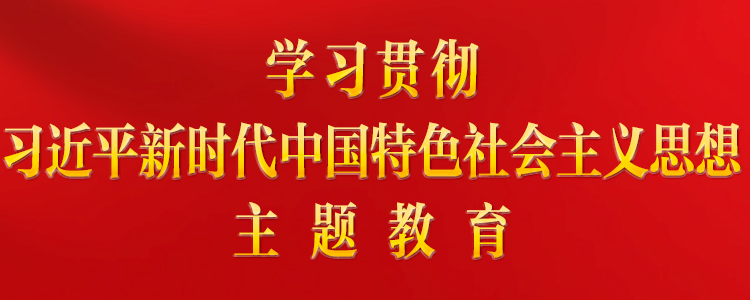 學(xué)習(xí)貫徹習(xí)近平新時(shí)代中國特色社會主義思想主題教育